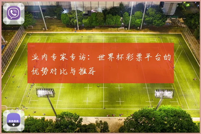 业内专家专访：世界杯彩票平台的优势对比与推荐