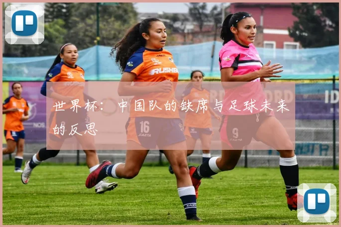 世界杯：中国队的缺席与足球未来的反思