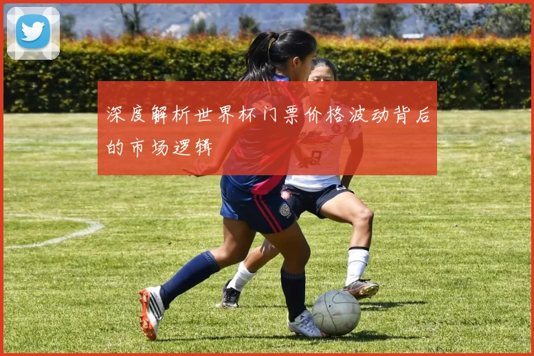 深度解析世界杯门票价格波动背后的市场逻辑