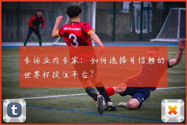 专访业内专家：如何选择可信赖的世界杯投注平台？